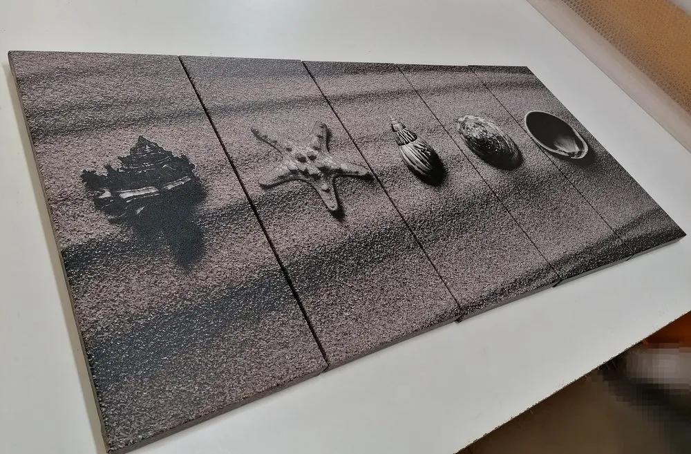 Εικόνα 5 μερών Κοχύλια σε αμμώδη παραλία σε μαύρο & άσπρο - 100x50