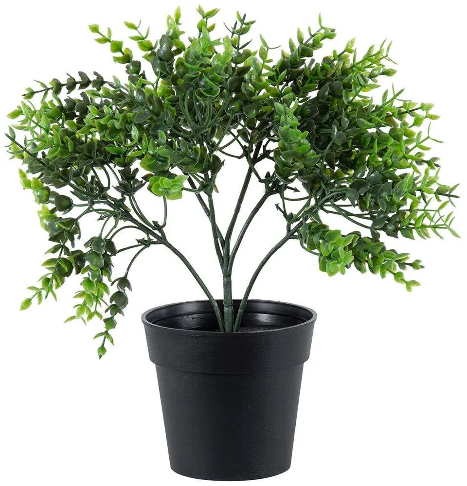 Τεχνητό Φυτό Eucalyptus 20392 30cm Green Globostar Polyethylene
