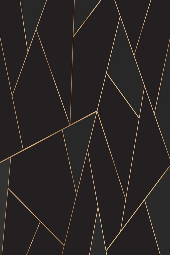 Χαλί EXFAB321 Black-Gold Conceptum Hypnose 160X230cm