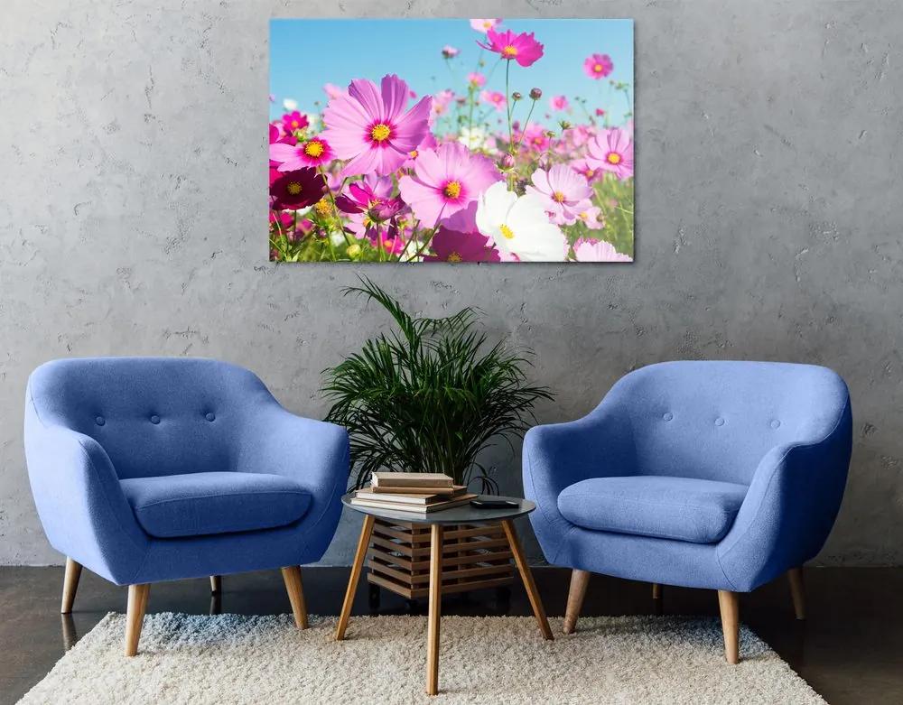 Εικόνα λιβάδι με ανοιξιάτικα λουλούδια - 120x80