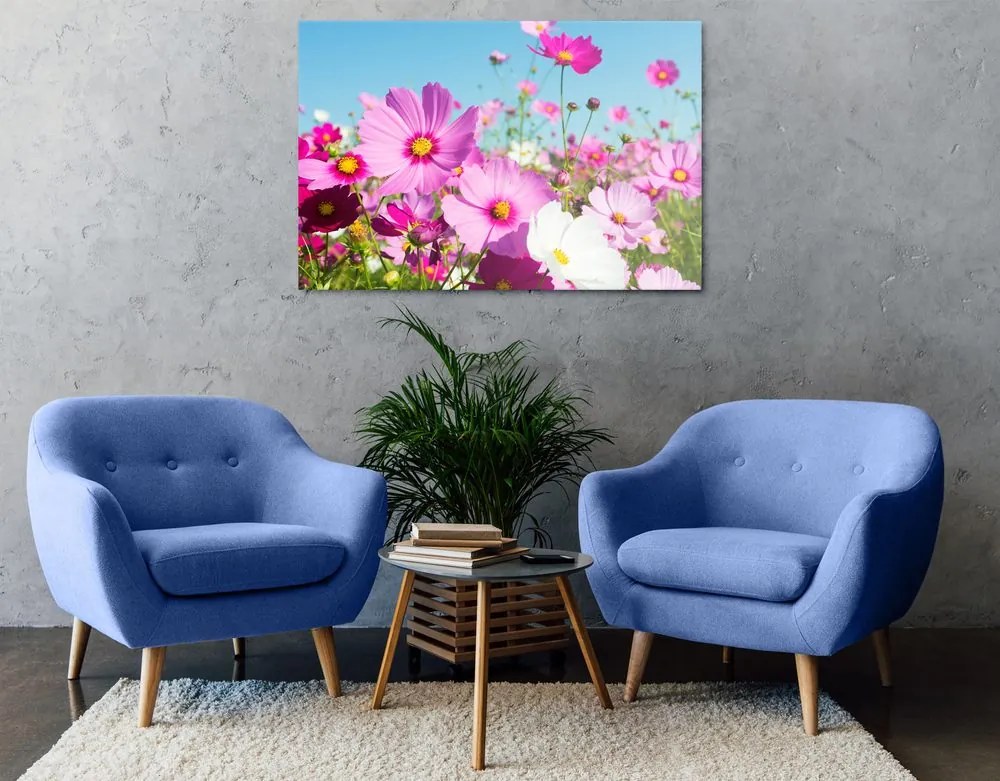 Εικόνα λιβάδι με ανοιξιάτικα λουλούδια - 60x40