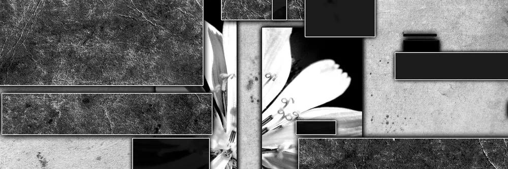 Εικόνα αφαίρεσης λουλουδιών σε μαύρο & άσπρο - 120x40