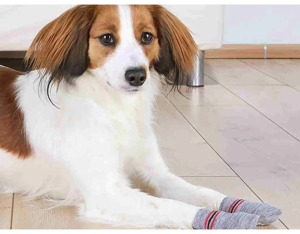 Κάλτσες Trixie Γκρι XS/S Σκύλος