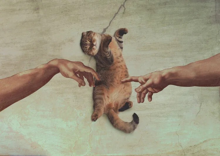 Εικονογράφηση Touch of the Kitty, Artem Pozdniakov