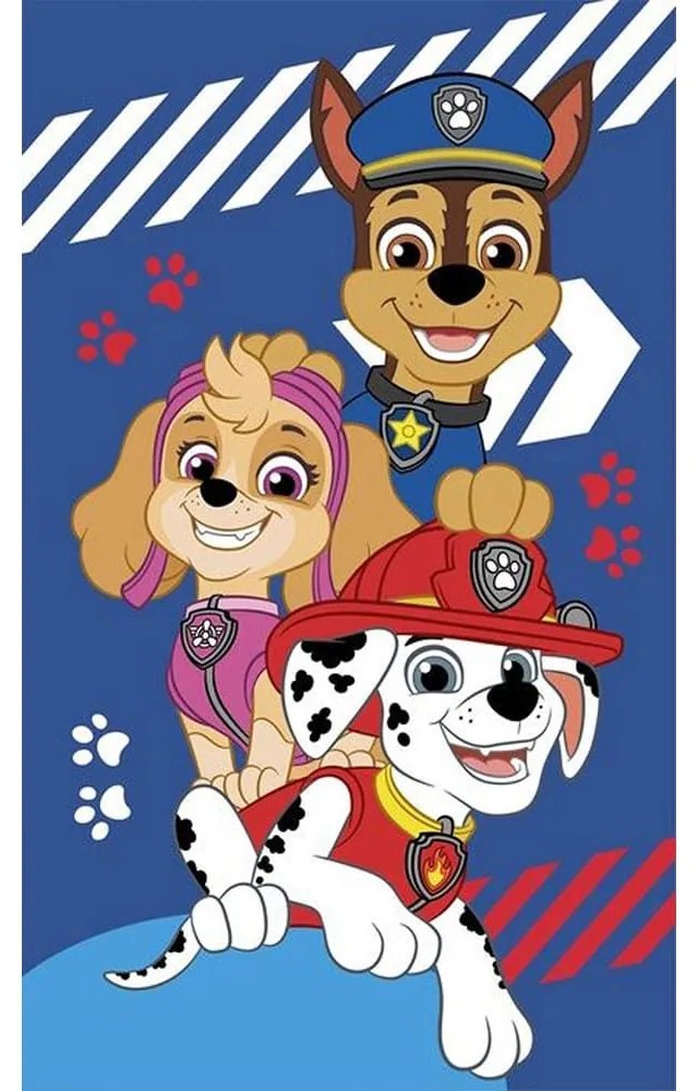 Πετσέτα Βρεφική Paw Patrol 40 Multi Viopros Λαβέτα 100% Βαμβάκι