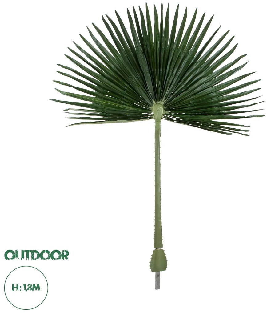 20170 GloboStar®  Artificial Garden WASHINGTONIA FILIFERA PALM LEAF 20170 Τεχνητό Διακοσμητικό Φύλο Φοινικόδεντρου Βεντάλια Π135 x Υ180cm