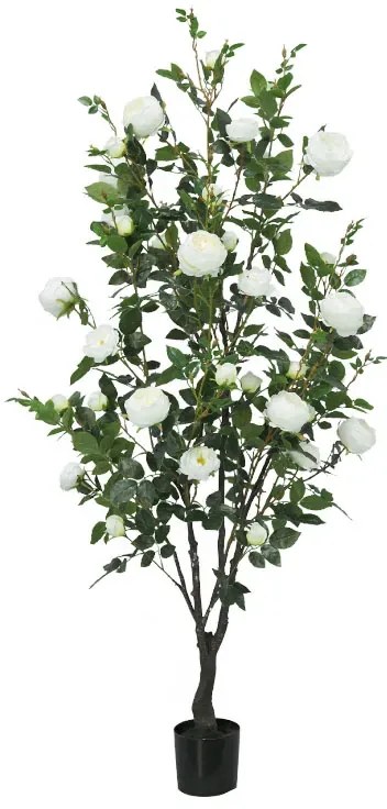 MarHome ΔΕΝΤΡΟ ΛΕΥΚΟ ΤΡΙΑΝΤΑΦΥΛΛΙΑ ΣΕ ΓΛΑΣΤΡΑ Υ175cm 2/ΚΙΒ  04-22055
