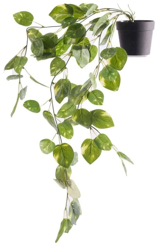 Τεχνητό Φυτό Φίκος Coide 5591-7 62cm Green Supergreens Πολυαιθυλένιο,Ύφασμα