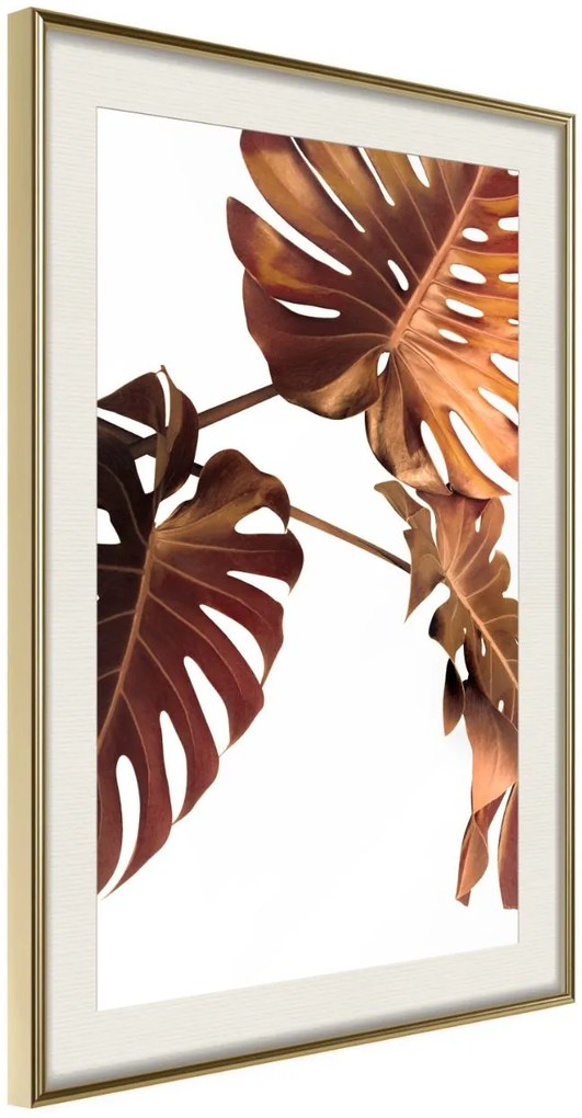 Αφίσα - Copper Monstera - 40x60 - Χρυσό - Με πασπαρτού