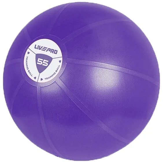 Μπάλα Κινησιοθεραπείας LivePro Core Fit 55cm Β 8201-55