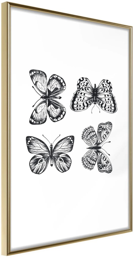 Αφίσα - Butterfly Collection III B - 20x30 - Χρυσό - Χωρίς πασπαρτού