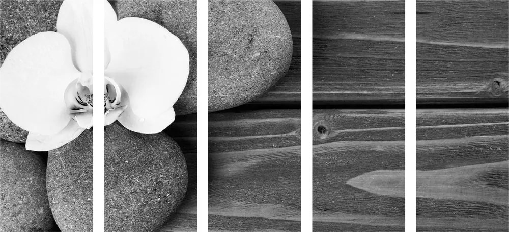 Πέτρες ευεξίας και ορχιδέα με 5 μέρη σε ξύλινο φόντο σε ασπρόμαυρο σχέδιο - 100x50
