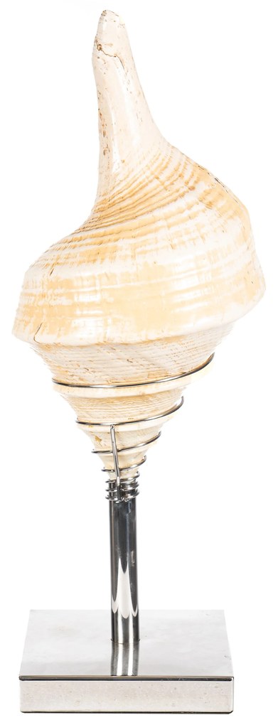 Ornament S Line 60cm με μεταλλική βάση S3147-00N3