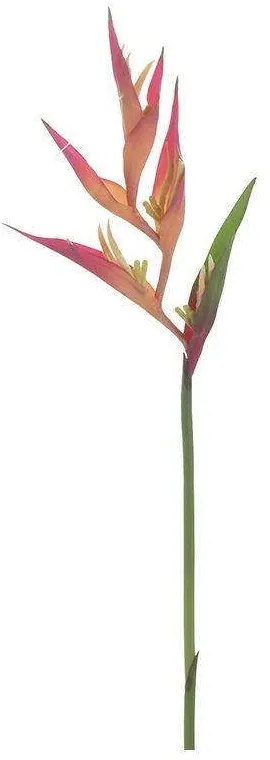 Διακοσμητικό Κλαδί-Φυτό 3-85-246-0264 78cm Multi Inart Plastic