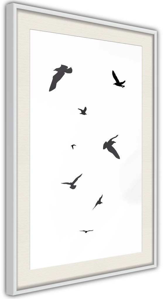 Αφίσα - Birds - 30x45 - Μαύρο - Χωρίς πασπαρτού