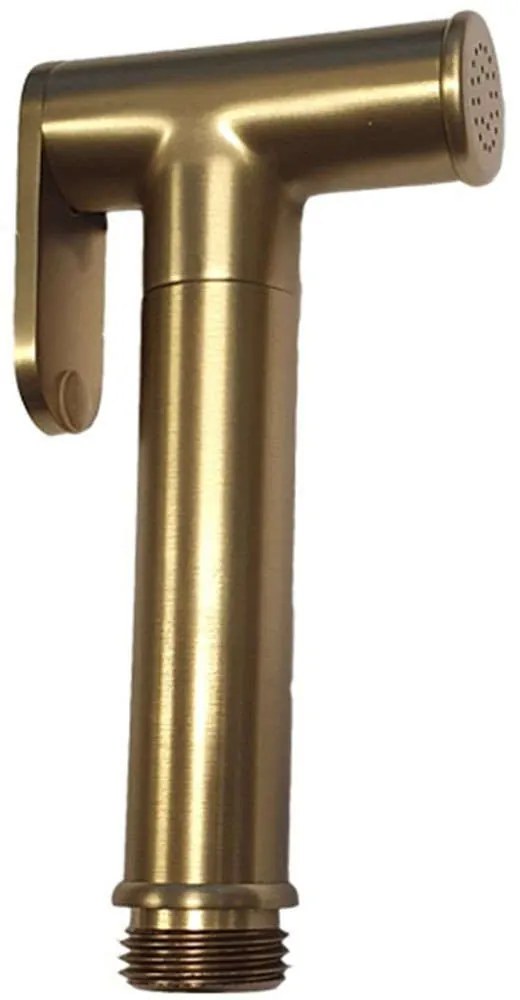 Τηλέφωνο Μπιντέ Ντους Artemis AC545BOR Φ2x5,7x12,2cm Gold Karag Metal