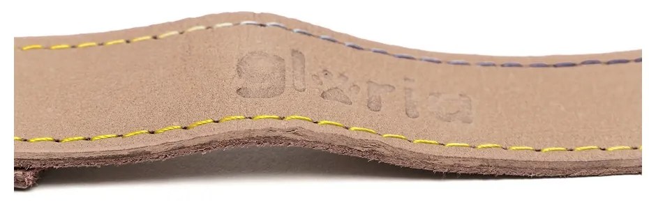 Λουρί Σκύλου Gloria Oasis 3 x 60 cm Λευκό