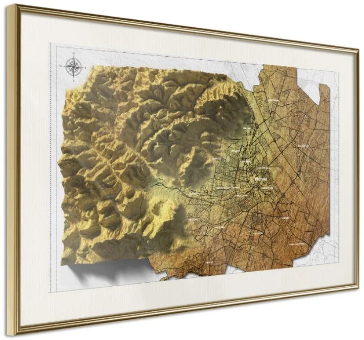 Αφίσα - Raised Relief Map: Vienna - 45x30 - Χρυσό - Με πασπαρτού