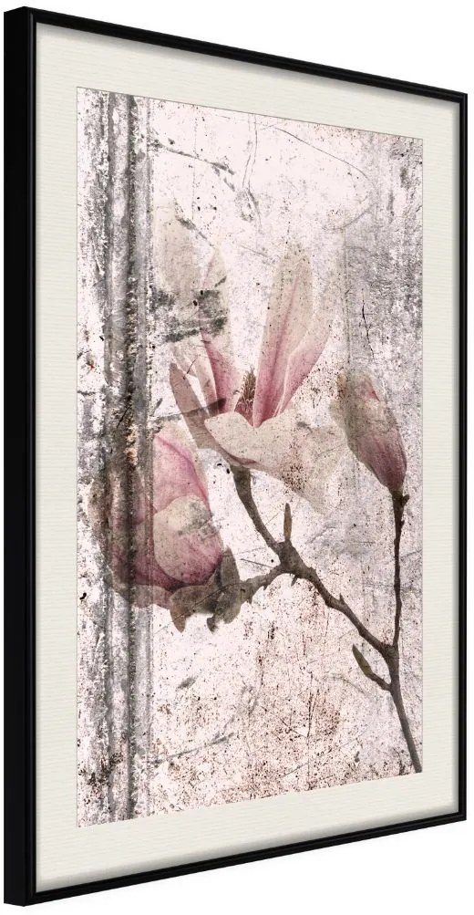 Αφίσα - Queen of Spring Flowers III - 20x30 - Μαύρο - Με πασπαρτού