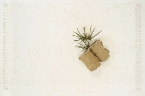 Χαλί ezzo Neve Shaggy E903A1A CREAM-80 x 150 εκ