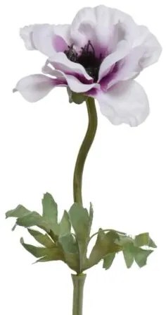 Beauty Home ΑΝΕΜΩΝΗ 57 CM