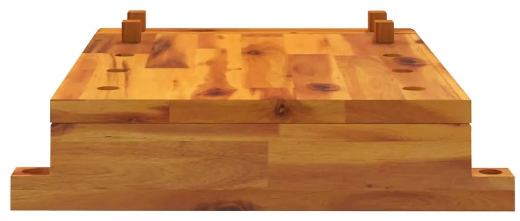 vidaXL Επιφάνεια Πάγκου Εργ. με Μέγγενη 52x44x9,5εκ Μασίφ Ξύλο Ακακίας