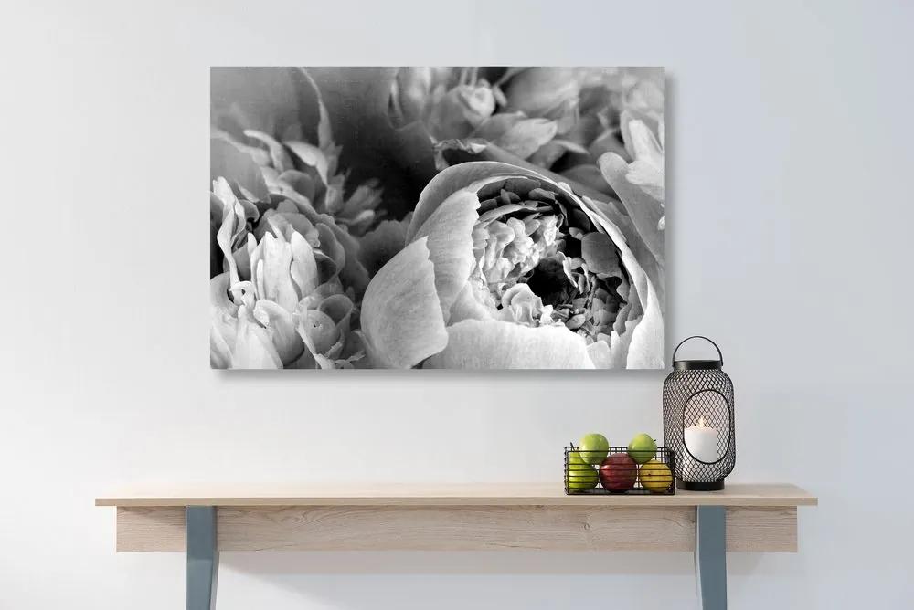 Εικόνα ασπρόμαυρα πέταλα ενός λουλουδιού - 90x60