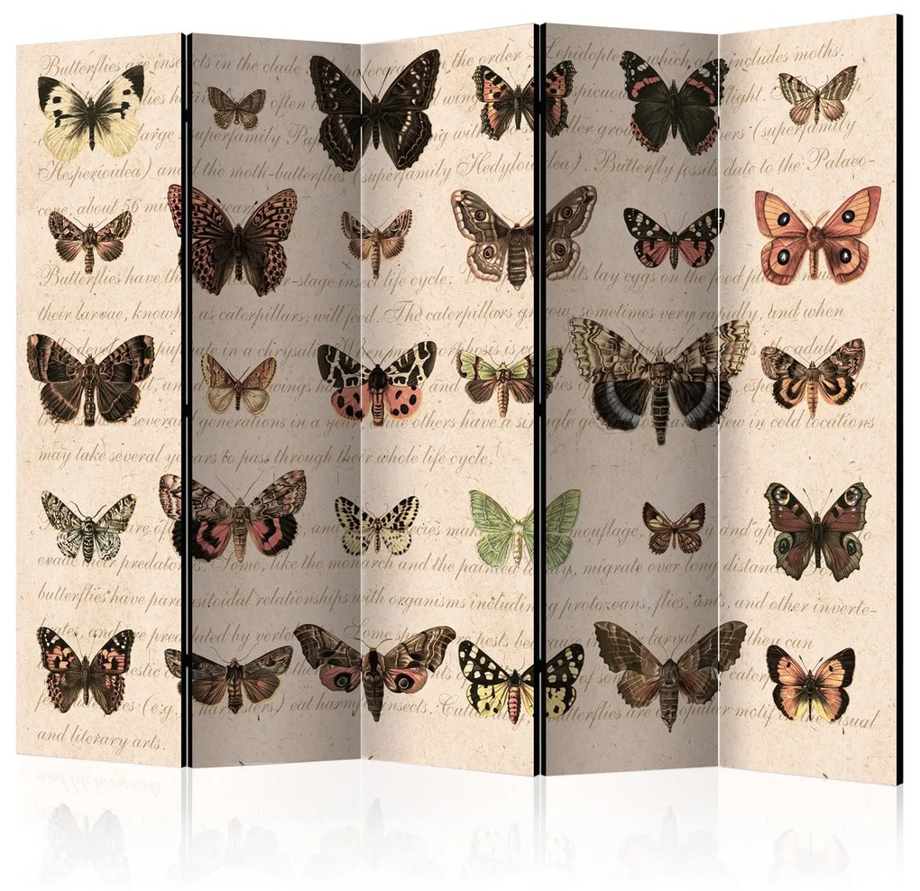 Διαχωριστικό με 5 τμήματα - Retro Style: Butterflies II [Room Dividers] 225x172