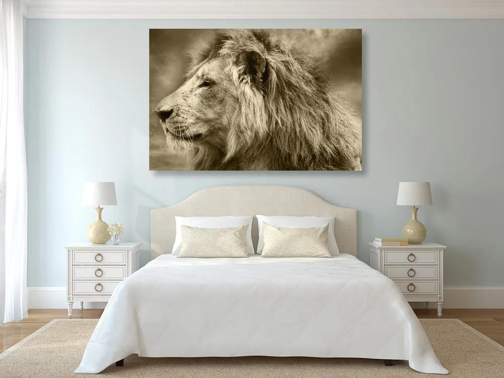 Εικόνα ενός αφρικανικού λιονταριού στη σέπια - 90x60