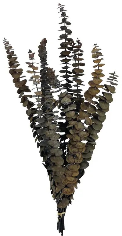 MarHome ΑΠΟΞΗΡΑΜΕΝA ΚΛΑΔΙΑ ΕΥΚΑΛΥΠΤΟΣ ΚΑΦΕ 10~11 ΤΜΧ/ΜΑΤΣΟ Υ50~60cm, Υ40~50cm ΤΟ ΑΝΘΟΣ - 120/ΚΙΒ  00-50002-3