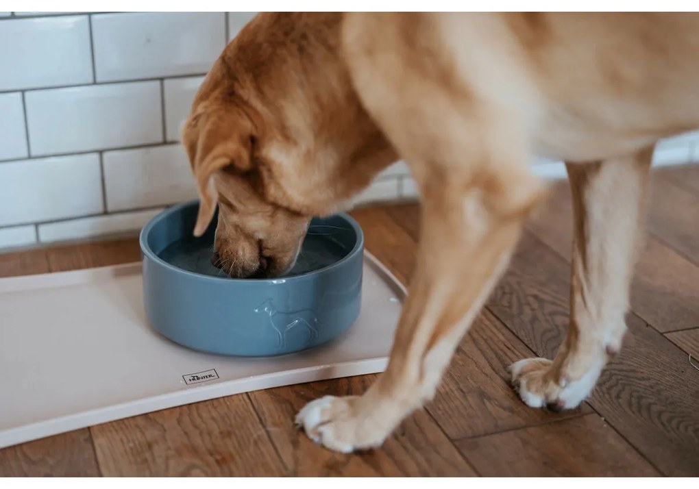 Ταΐστρα σκύλων Hunter OSBY Μπλε Κεραμικά 1,1 L