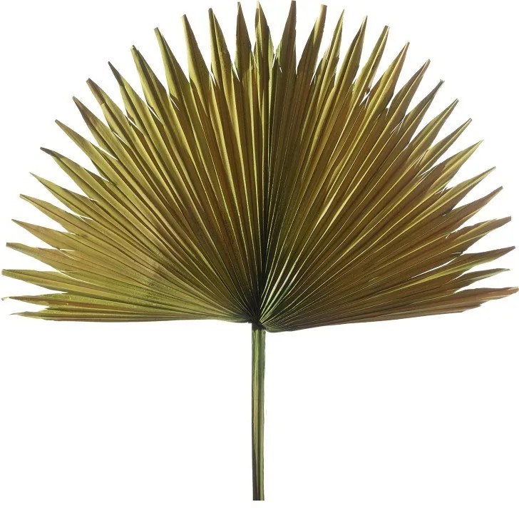 Supergreens Τεχνητό Φύλλο Φοίνικας "Serenoa" Πράσινο 35x35x60 εκ