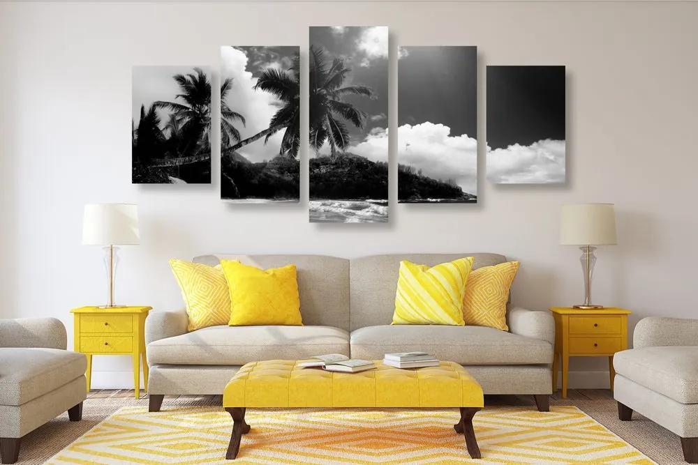 Εικόνα 5 μερών μιας όμορφης παραλίας στο νησί των Σεϋχελλών σε μαύρο & άσπρο - 100x50