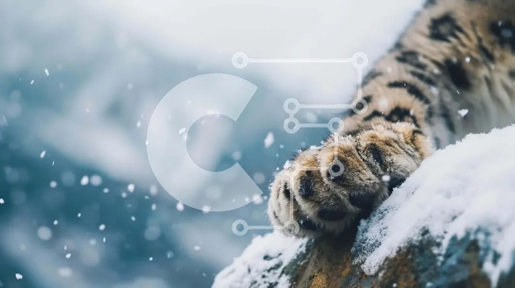 Intra Συλλεκτικό Ξύλινο Παζλ Plywood 4mm - Snow Leopard's Paw in the Snow Σε Ξύλινο Κουτί - Διαστάσεις: 10x10 cm – 25 κομμάτια