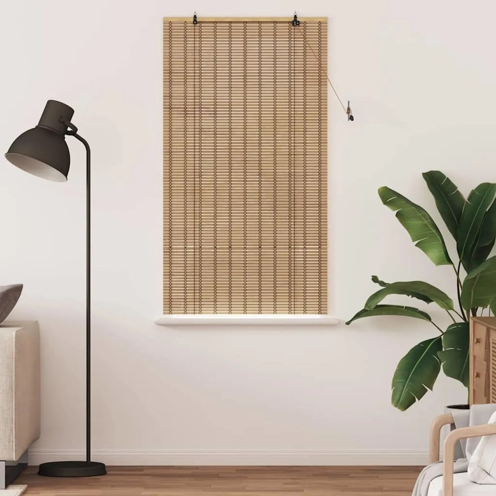 vidaXL Ρόλερ και Σκιάδια Ανοιχτό καφέ 100 x 160 cm Μπαμπού