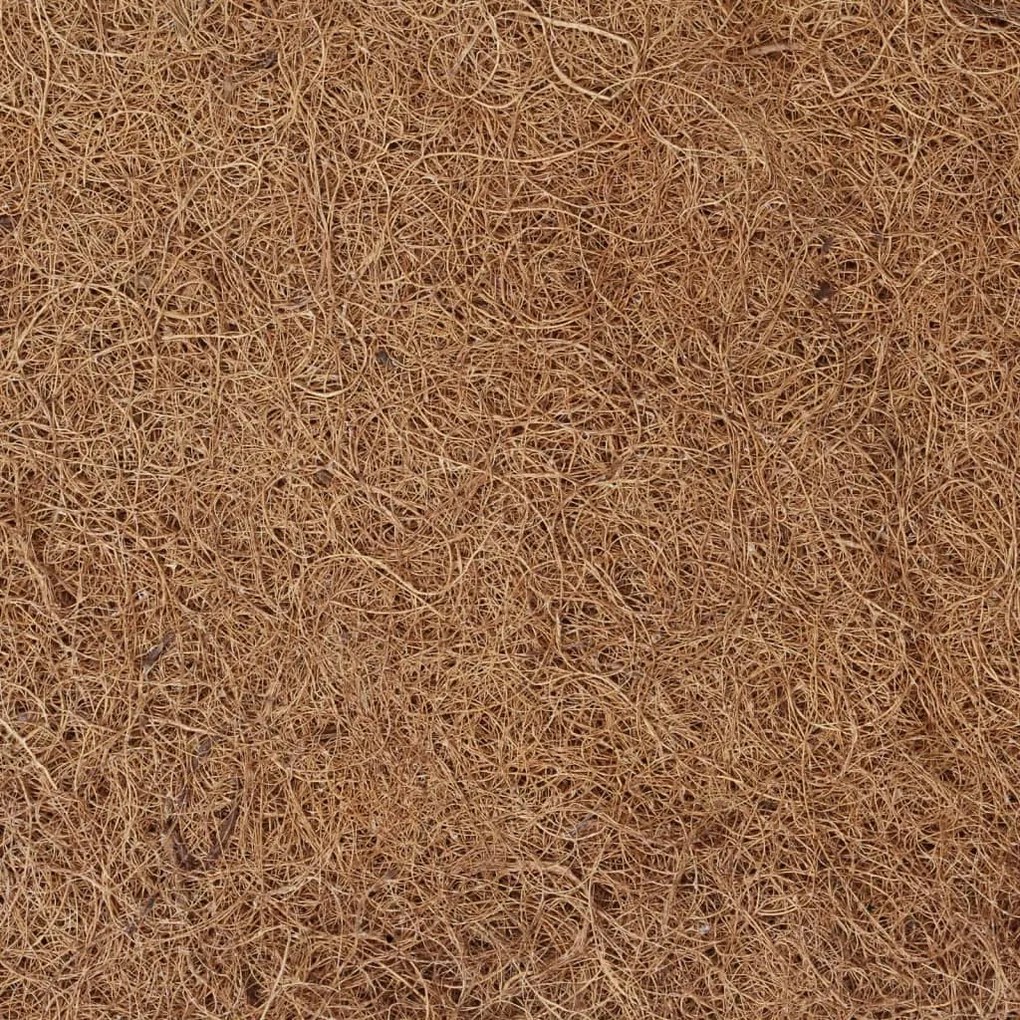 vidaXL Επίστρωμα 70 x 200 εκ. από Κοκοφοίνικα