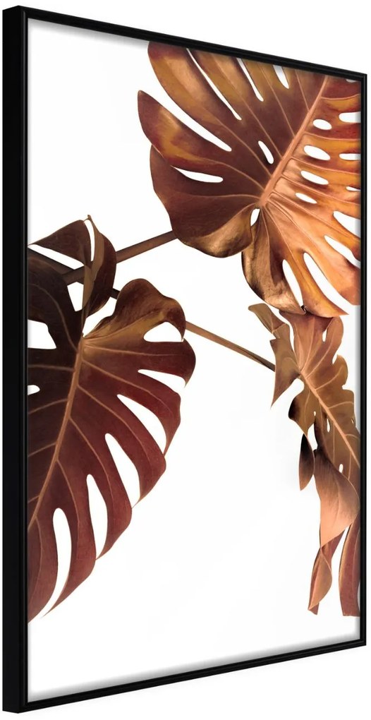 Αφίσα - Copper Monstera - 40x60 - Μαύρο - Χωρίς πασπαρτού