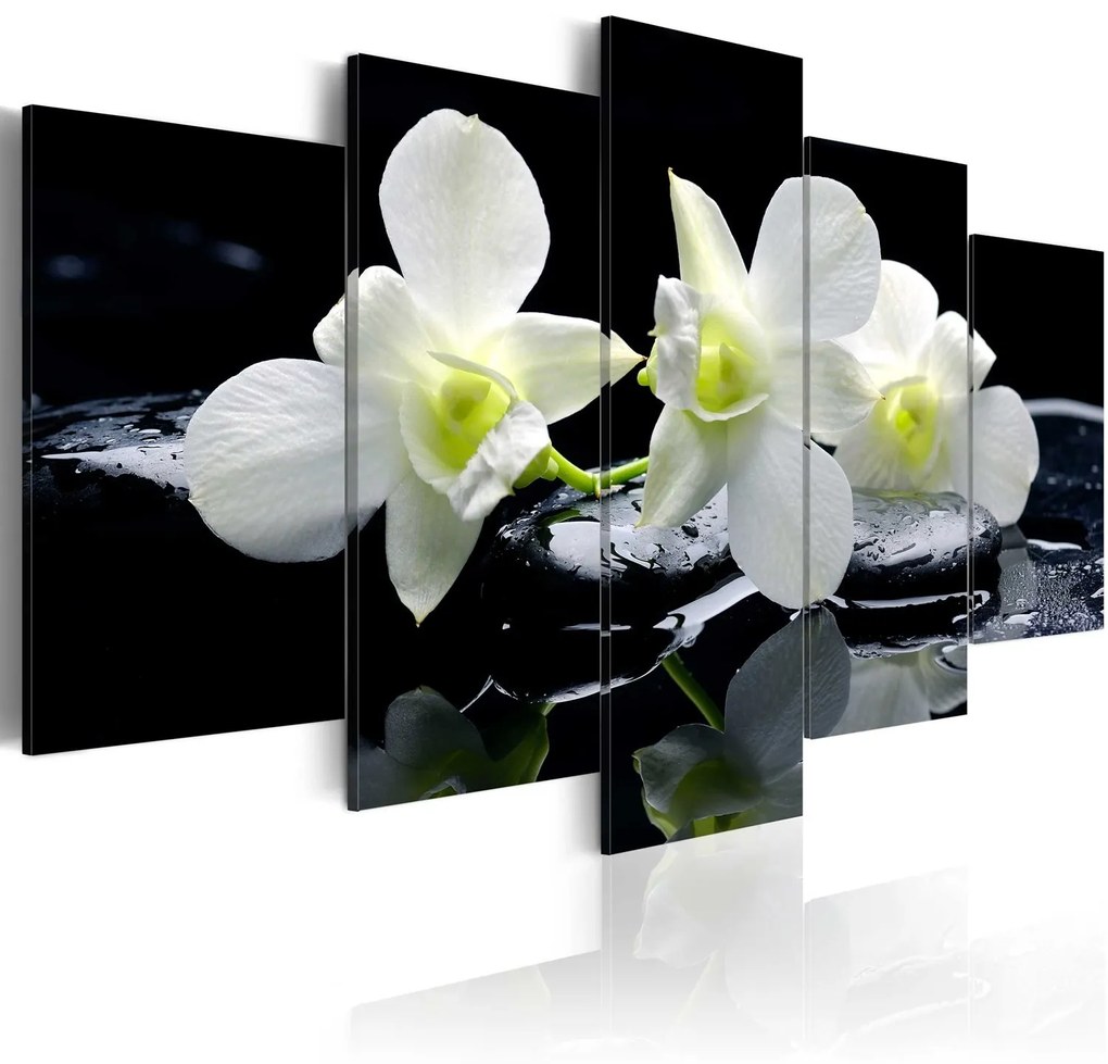 Πίνακας - Melancholic orchids 200x100