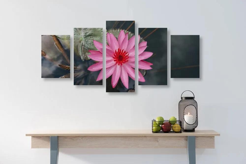 Εικόνα 5 τμημάτων μαγευτικό λουλούδι λωτού - 100x50