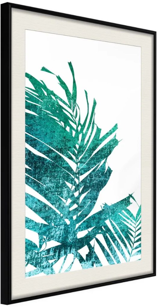 Αφίσα - Teal Palm on White Background - 30x45 - Μαύρο - Με πασπαρτού