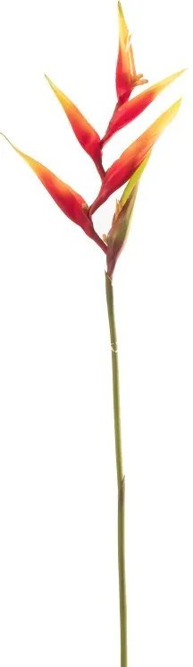 Supergreens Τεχνητό Κλαδί Ελικόνια Latispatha Πορτοκαλί 86 εκ