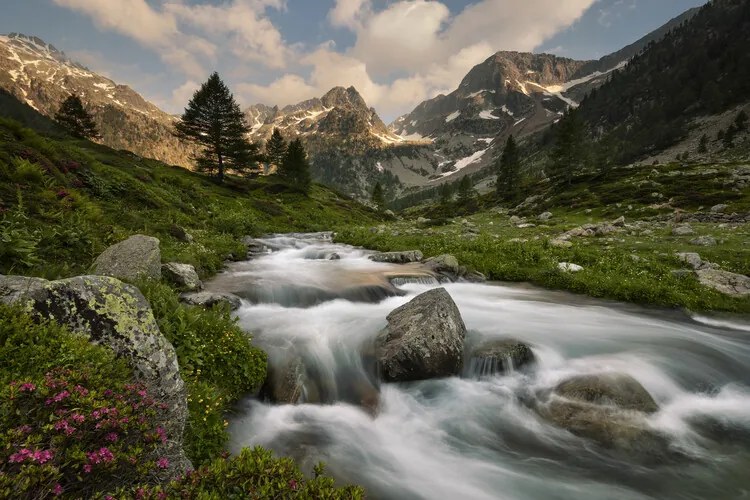 Φωτογραφία Maritime Alps Park, Paolo Bolla