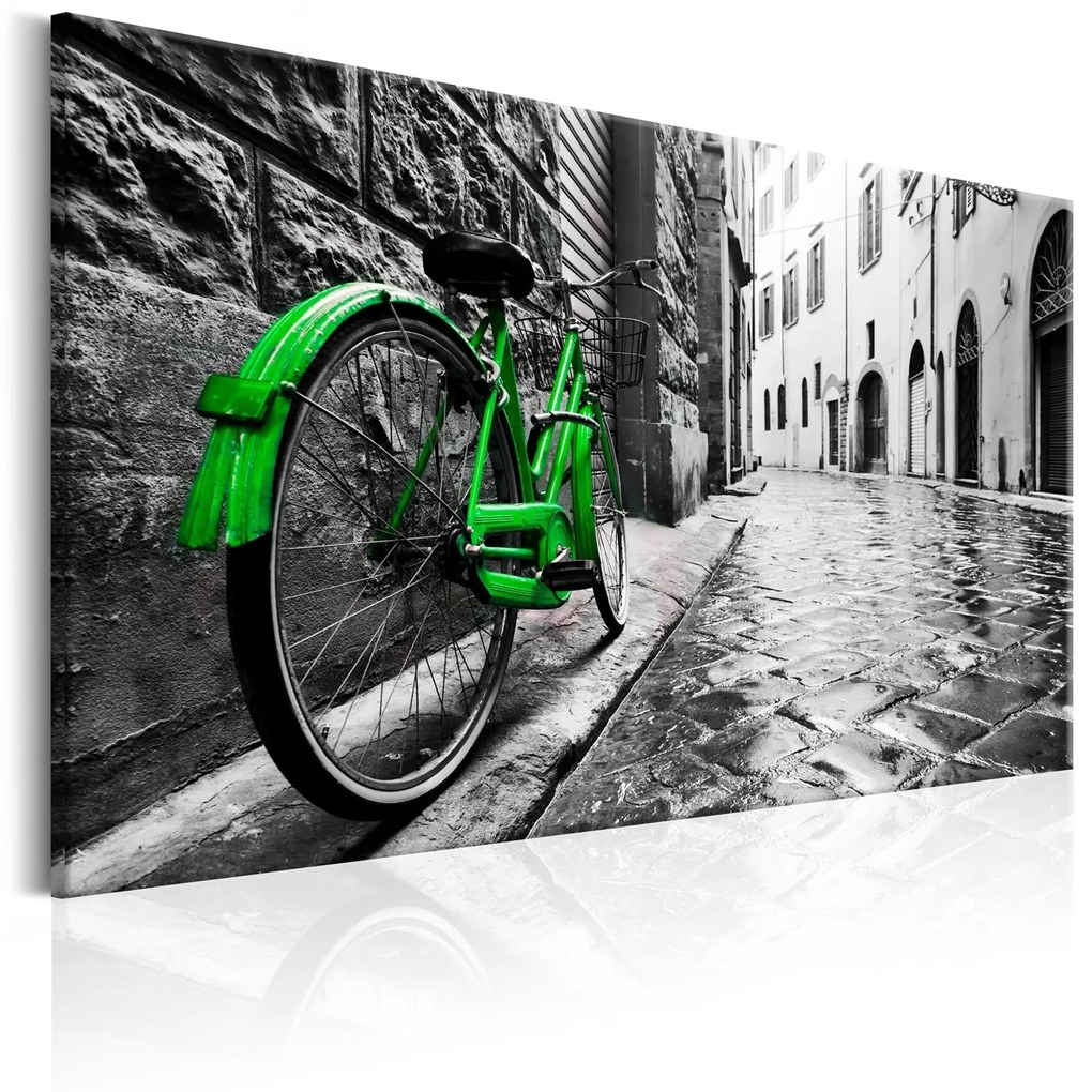 Πίνακας - Vintage Green Bike 60x40