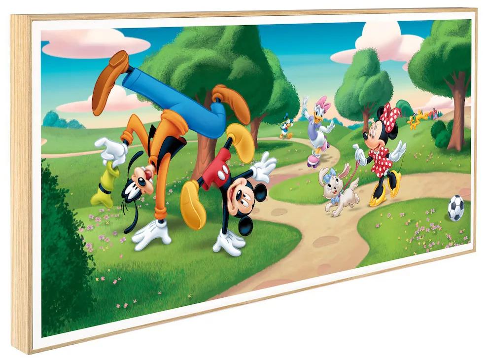 Παιδικό Κάδρο Mickey and Friends KDP120 30x60cm