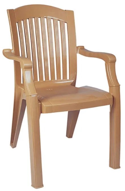ΚΑΡΕΚΛΑ ΠΛΑΣΤΙΚΗ SKG STAR TEAK