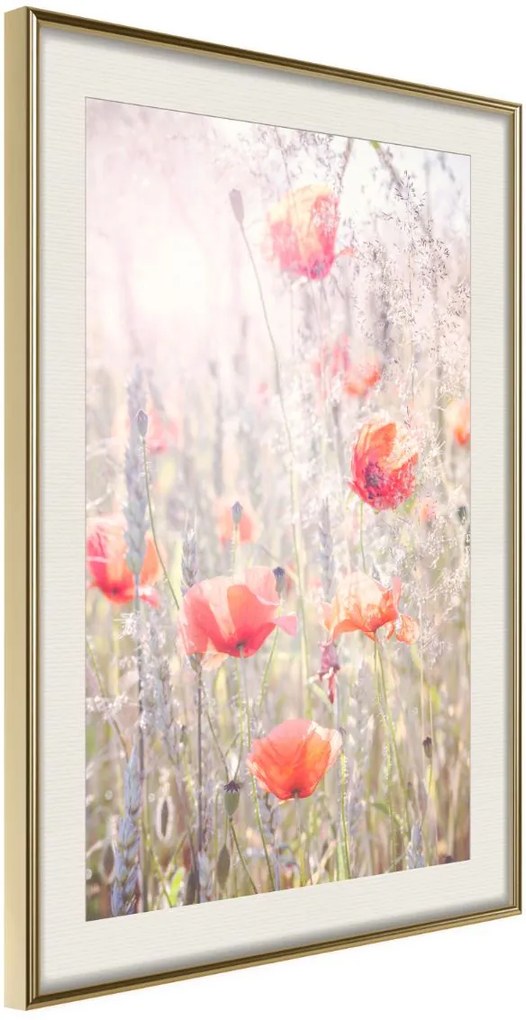 Αφίσα - Poppies - 20x30 - Χρυσό - Με πασπαρτού