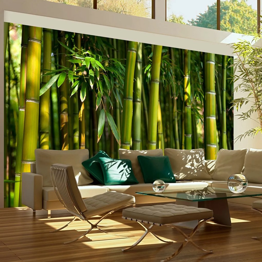 Φωτοταπετσαρία - Asian bamboo forest 450x270