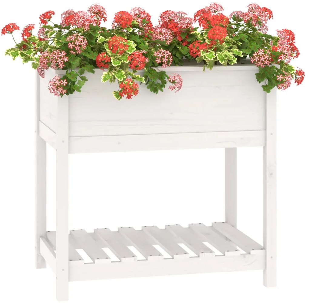 vidaXL Ζαρντινιέρα με Ράφι Λευκή 82,5x54x81 εκ. Μασίφ Ξύλο Πεύκου