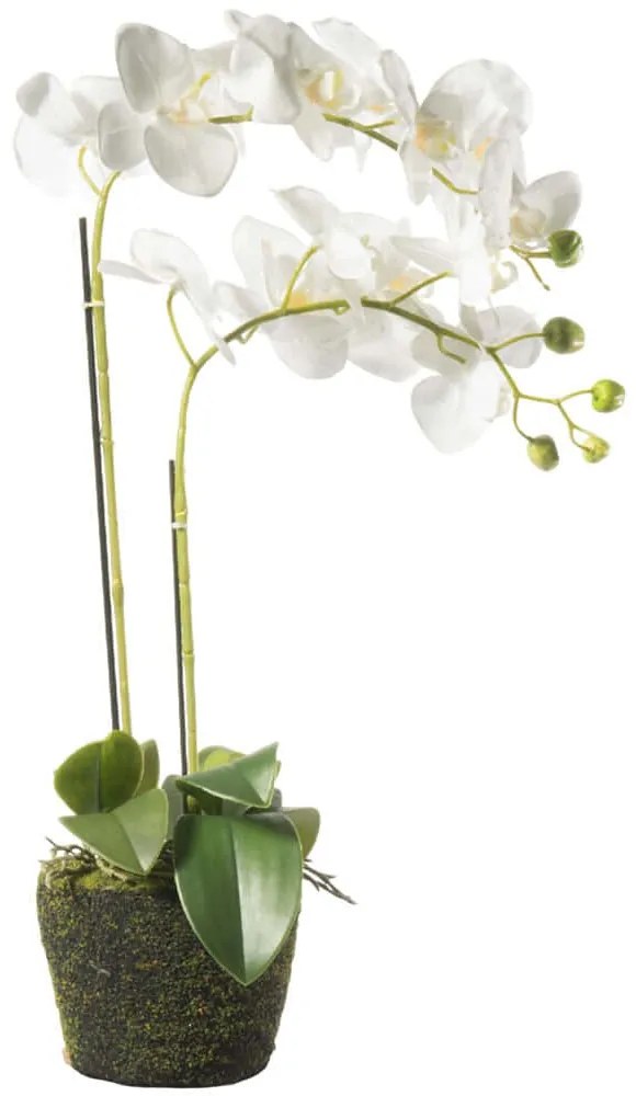 Τεχνητό Φυτό Ορχιδέα Phalaenopsis 5301-6 67cm White Supergreens Ύφασμα,Πλαστικό