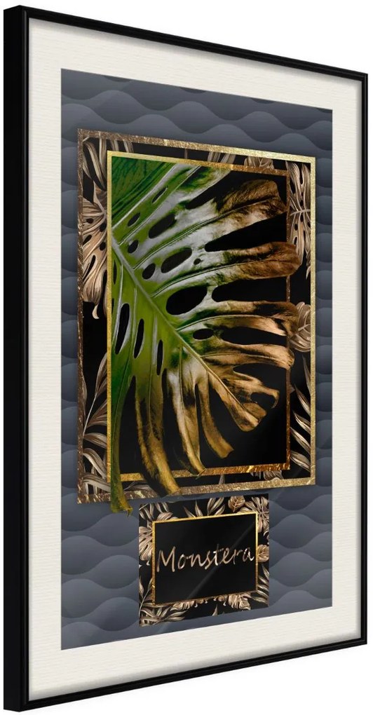 Αφίσα - Monstera in the Frame - 20x30 - Μαύρο - Με πασπαρτού